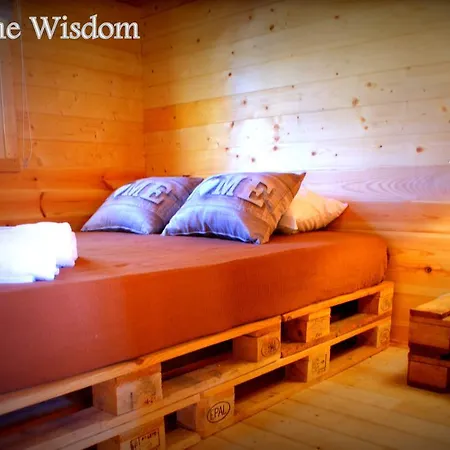 Welcome Wisdom لول