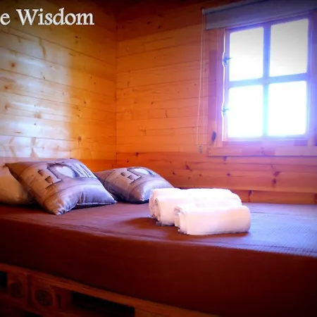 Welcome Wisdom * لول