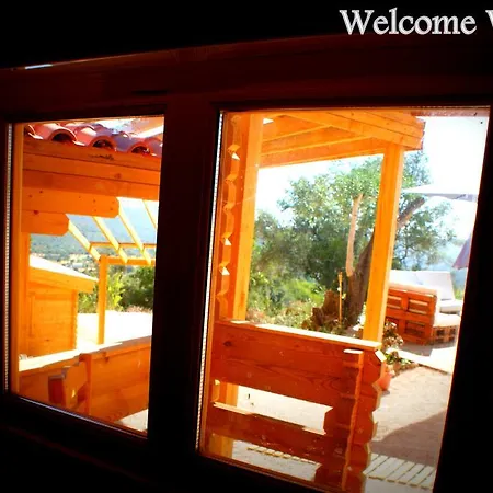 Welcome Wisdom ローレ